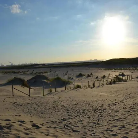 In Netherlands With Ship-like Design Holiday home 's-Gravenzande